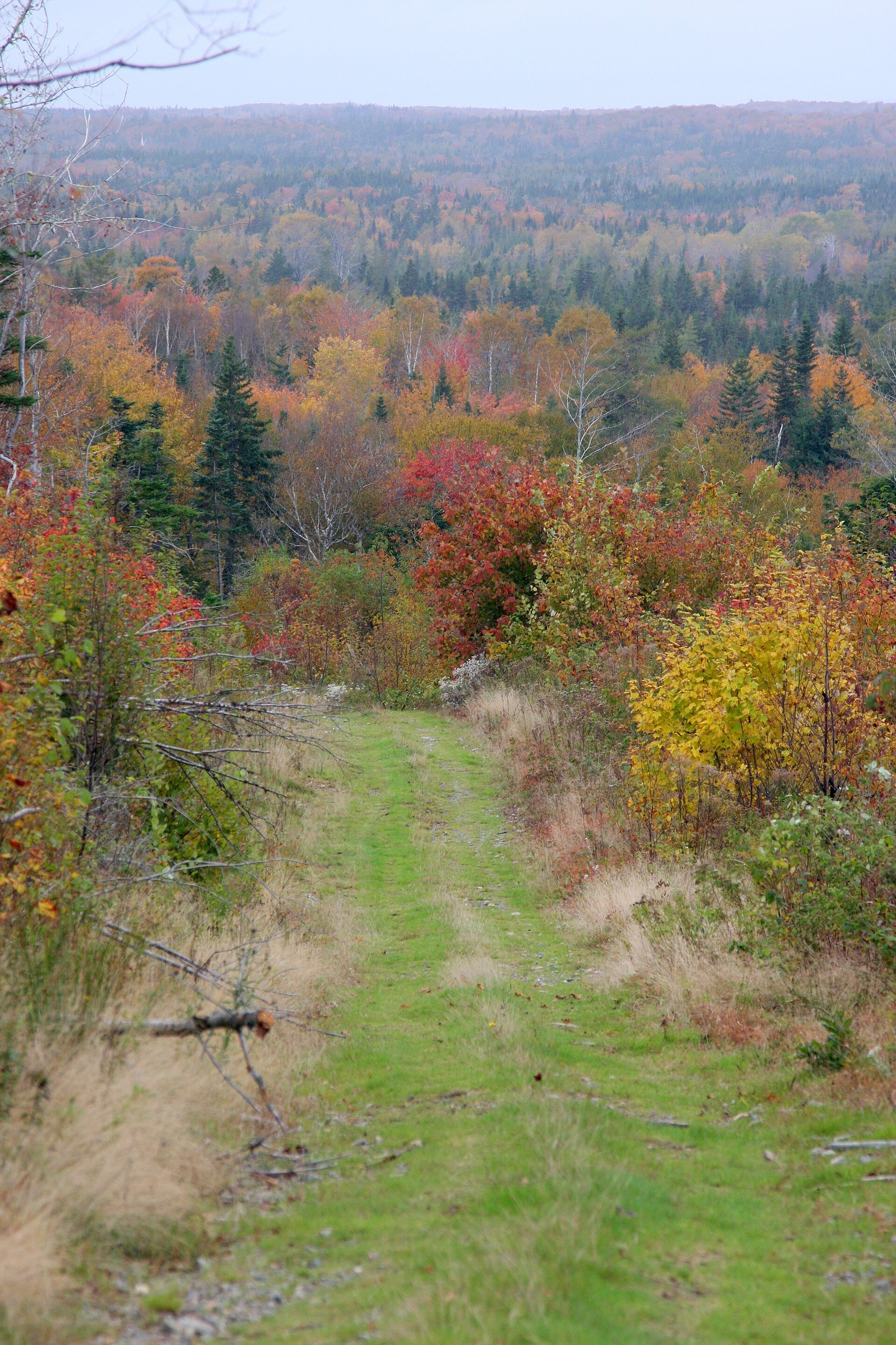 Peninsula Campground