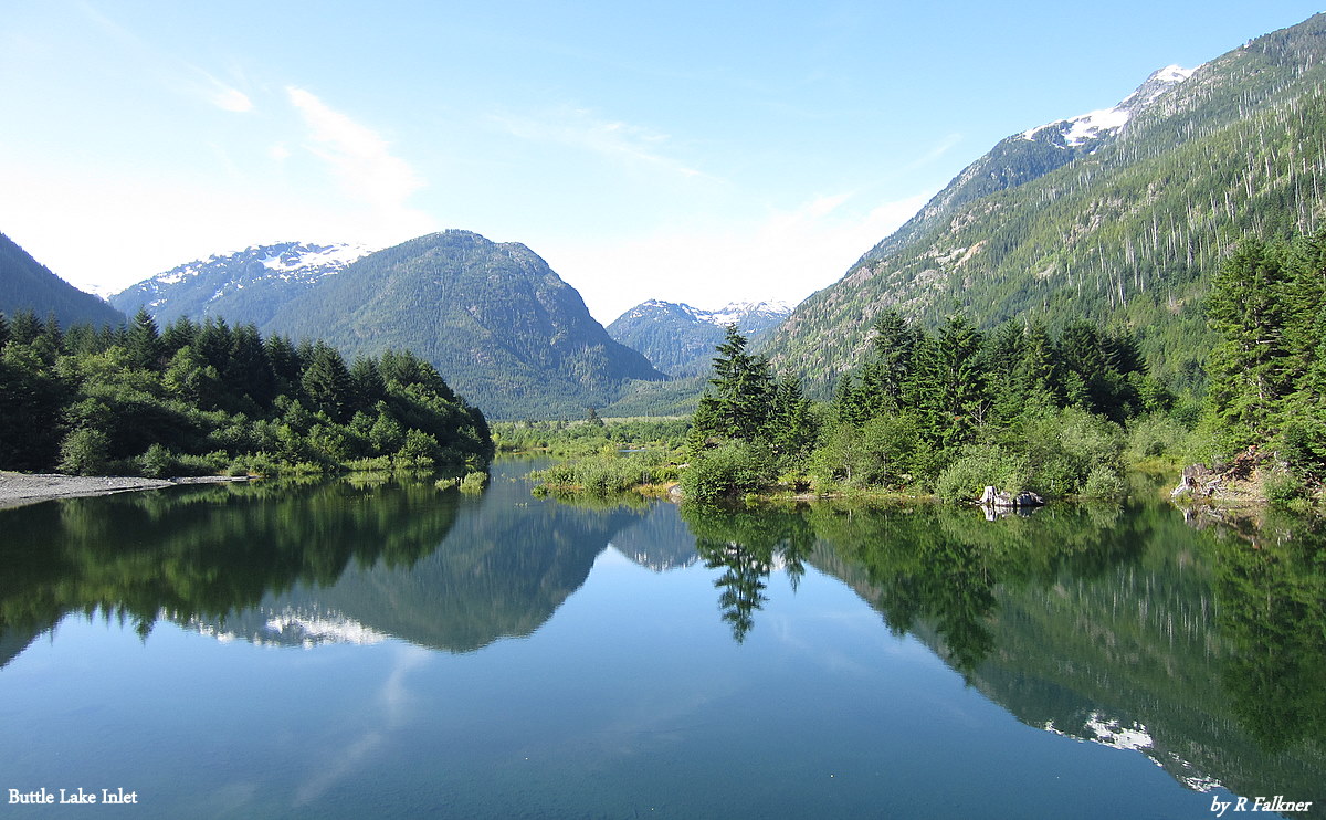 Arnica Lake Campsite