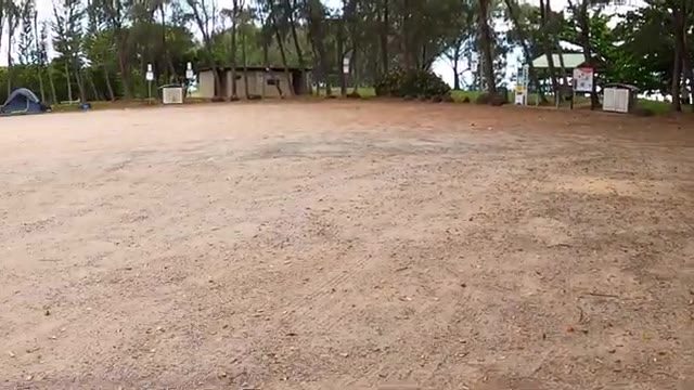 Saunders Beach Park Rest Area in Saunders Beach, QLD — photo 4