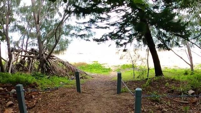 Saunders Beach Park Rest Area in Saunders Beach, QLD — photo 2
