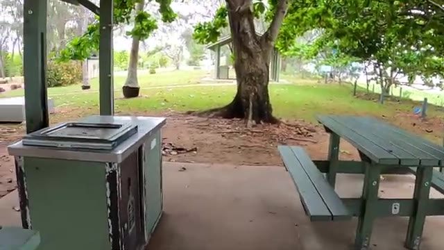 Saunders Beach Park Rest Area in Saunders Beach, QLD — photo 3