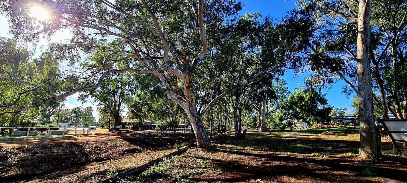 Cobb and Co Caravan Park - Image 3