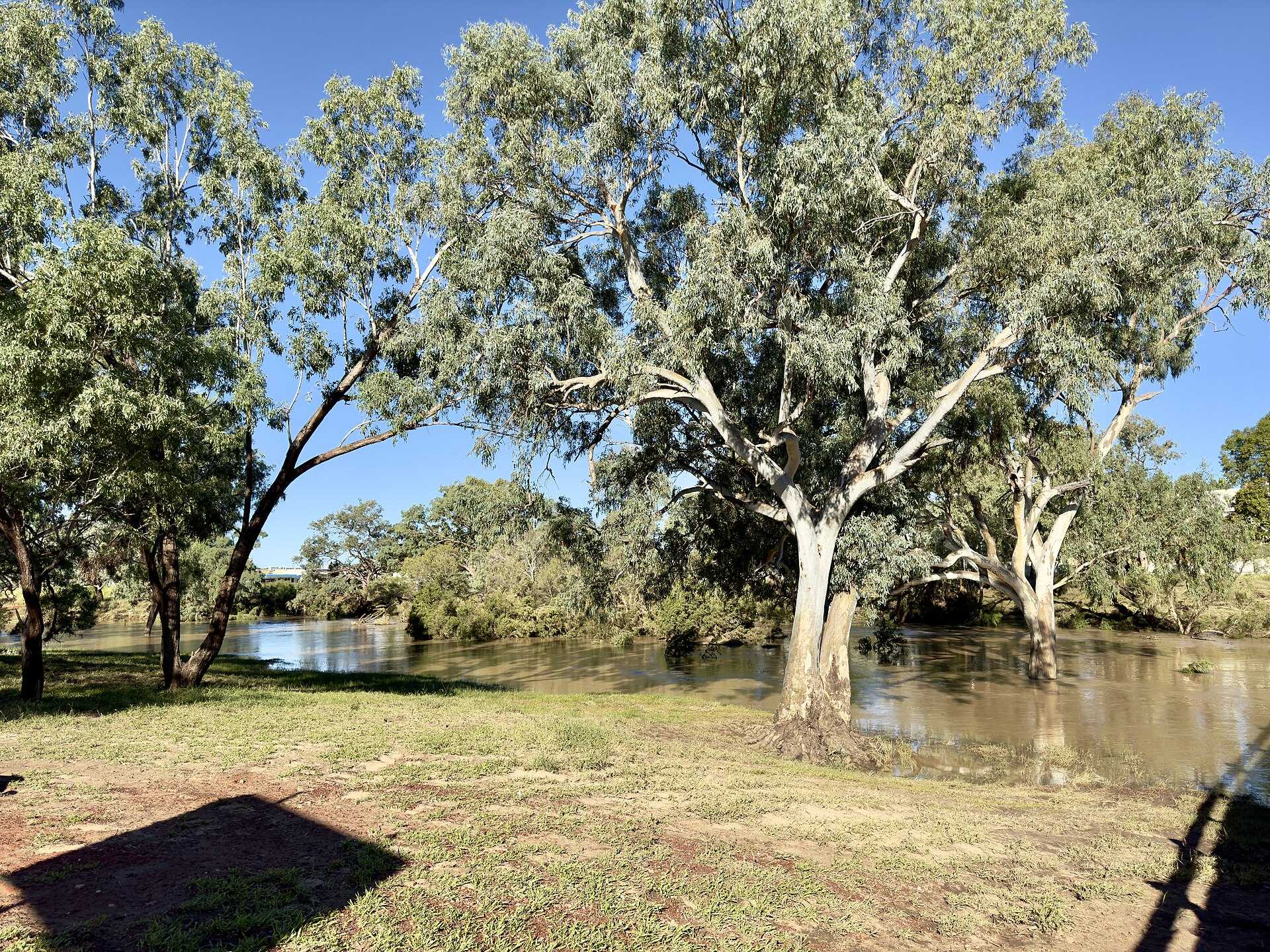 Charleville Bush Caravan Park and Cottage — Charleville, QLD