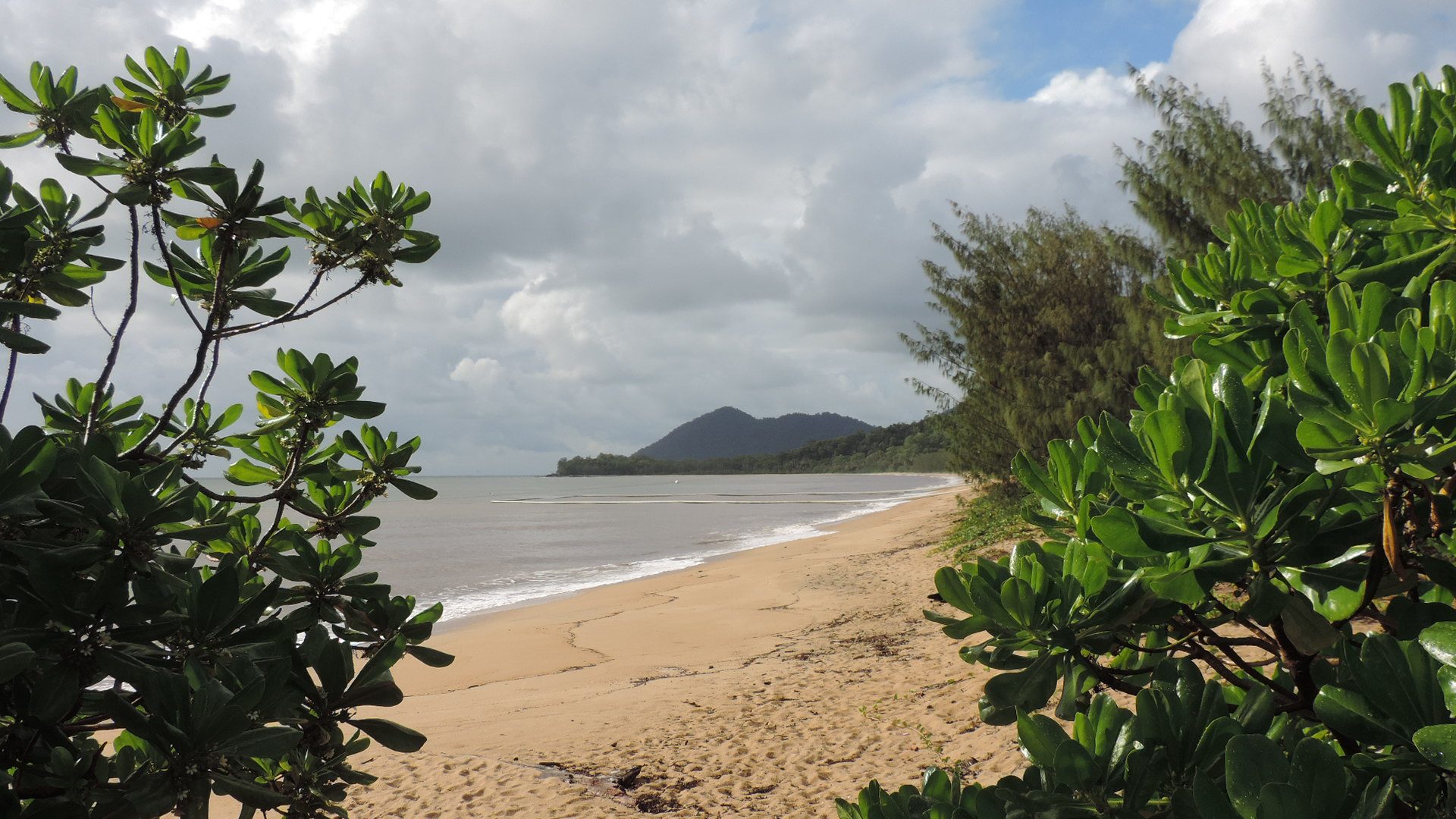 Bramston Beach Plantation Caravan Park — Bramston Beach, QLD