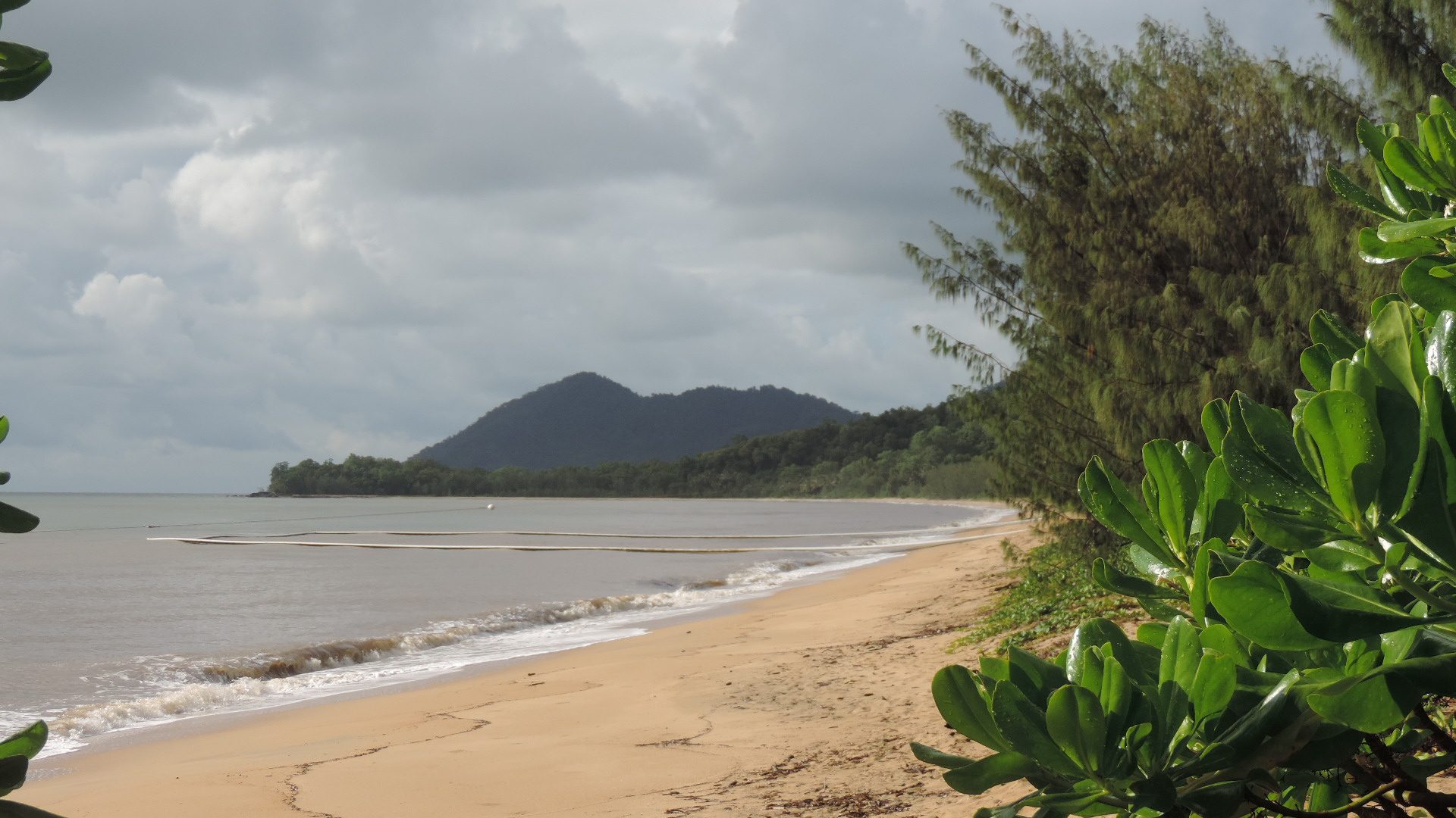 Bramston Beach Plantation Caravan Park in Bramston Beach, QLD — photo 1