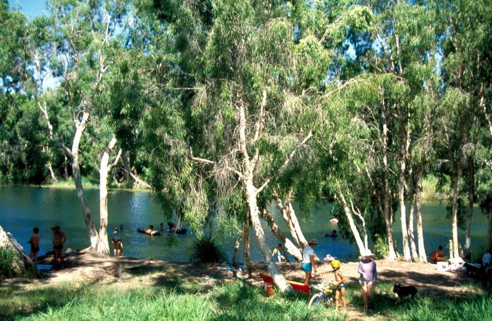 Bushy Parker Park — Rollingstone, QLD
