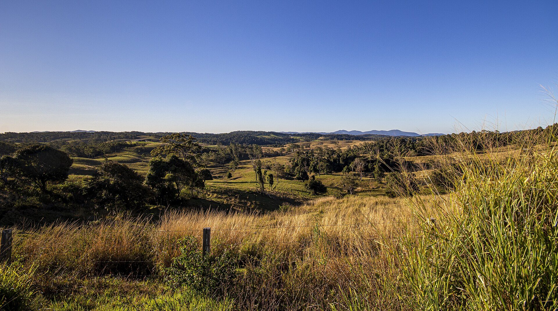 Credition Hall Campground in Crediton, QLD — photo 3