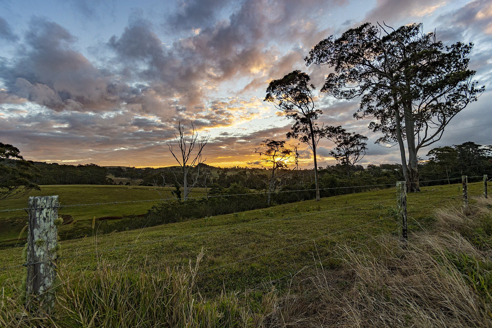 Credition Hall Campground — Crediton, QLD