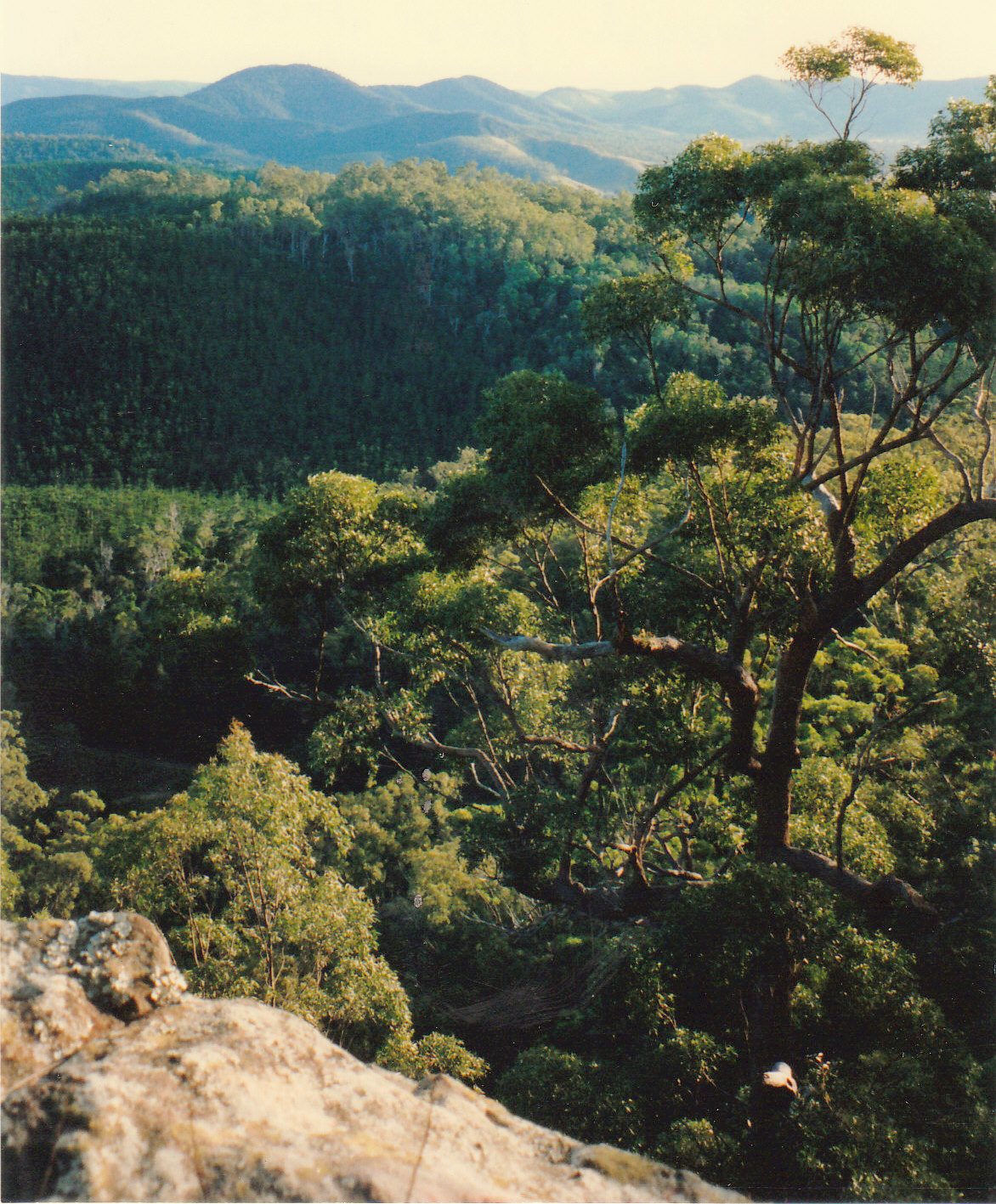 Glastonbury Creek Camping Area — Glastonbury, QLD