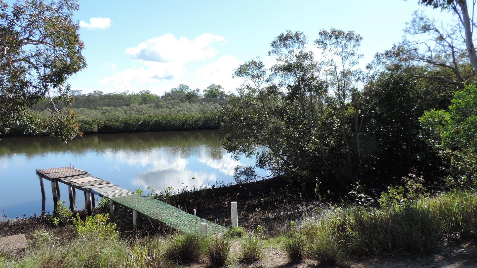 Coochin Creek Campground - Image 2
