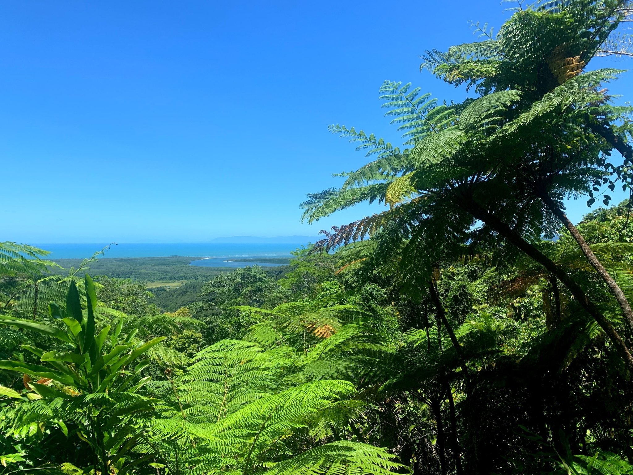 Mareeba Riverside Caravan Park - Image 5
