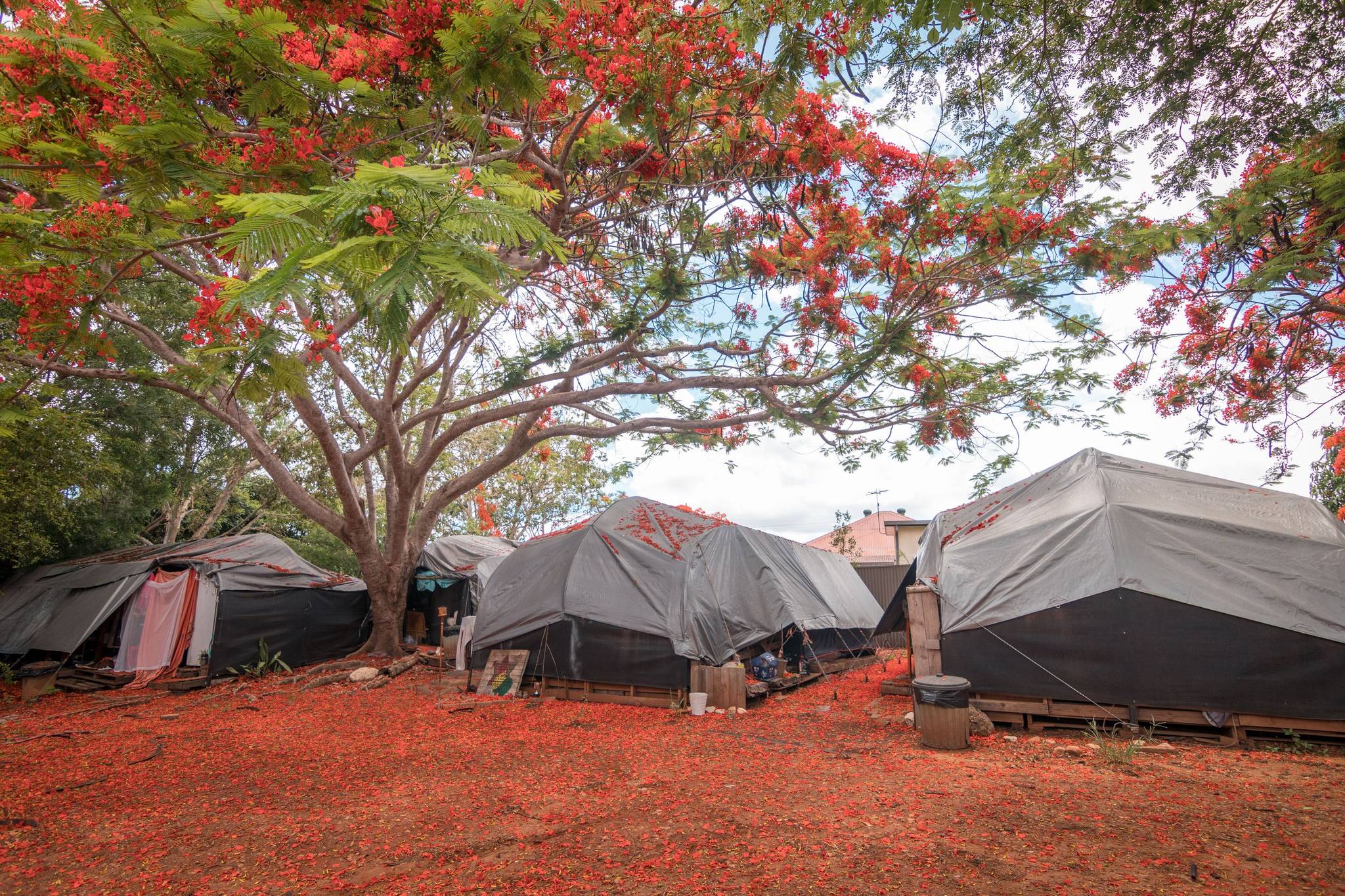 Mareeba Riverside Caravan Park - Image 2