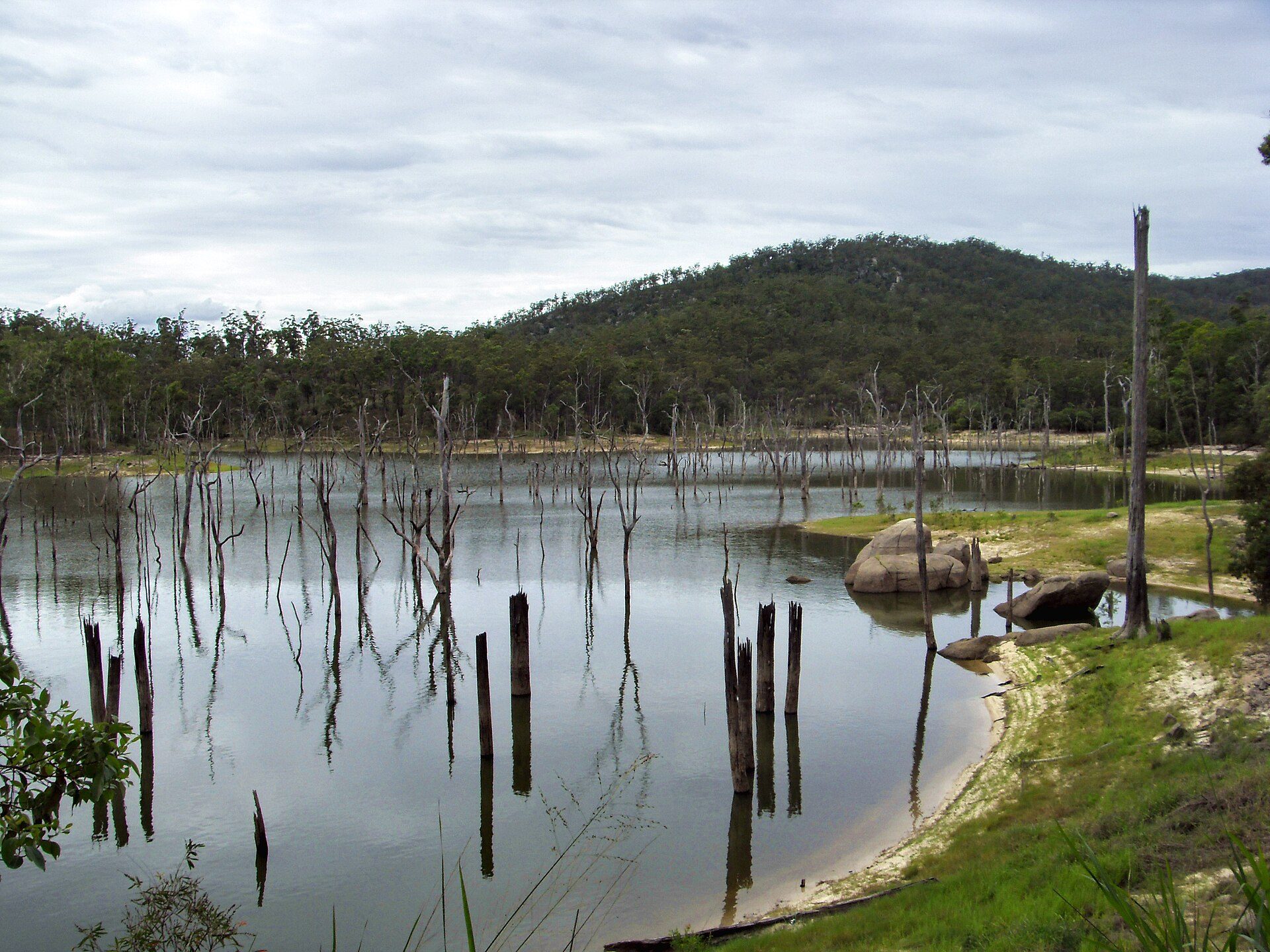 School Point Campground Lake Tinaroo