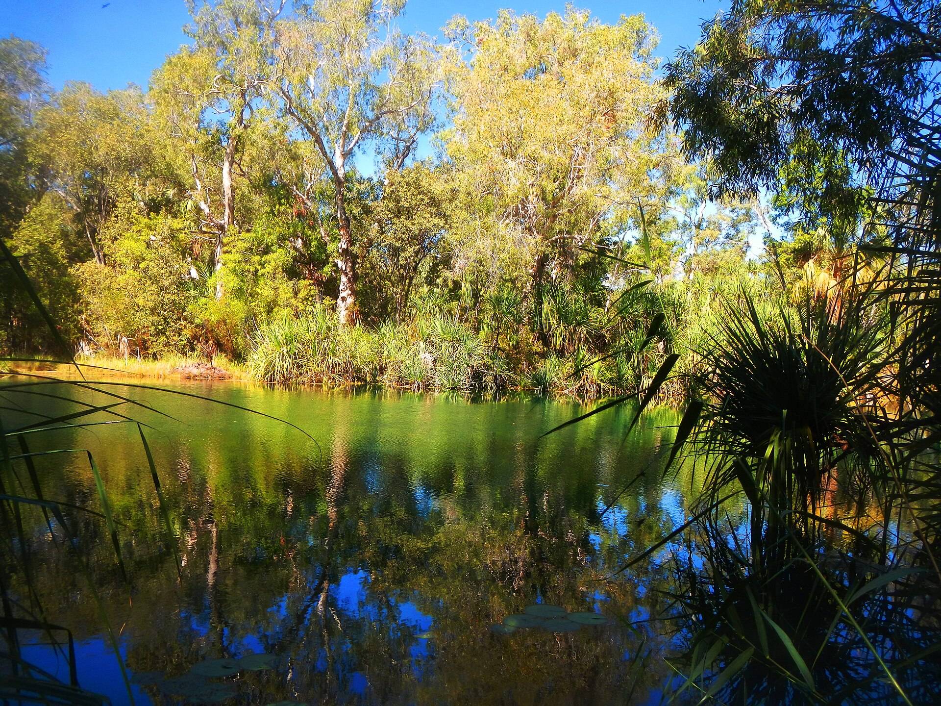 Miyumba Bush Camp — Lawn Hill, QLD