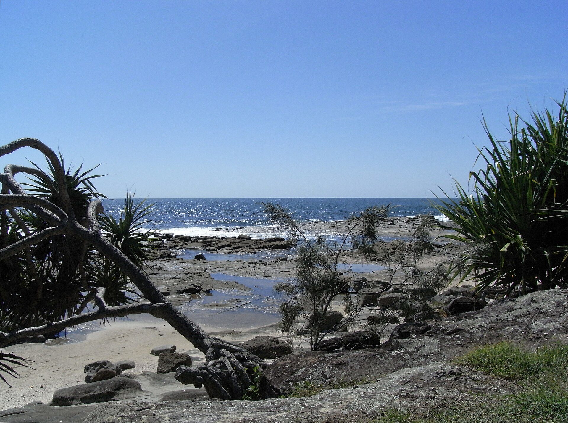 Woody Head Campground — Woody Head, NSW