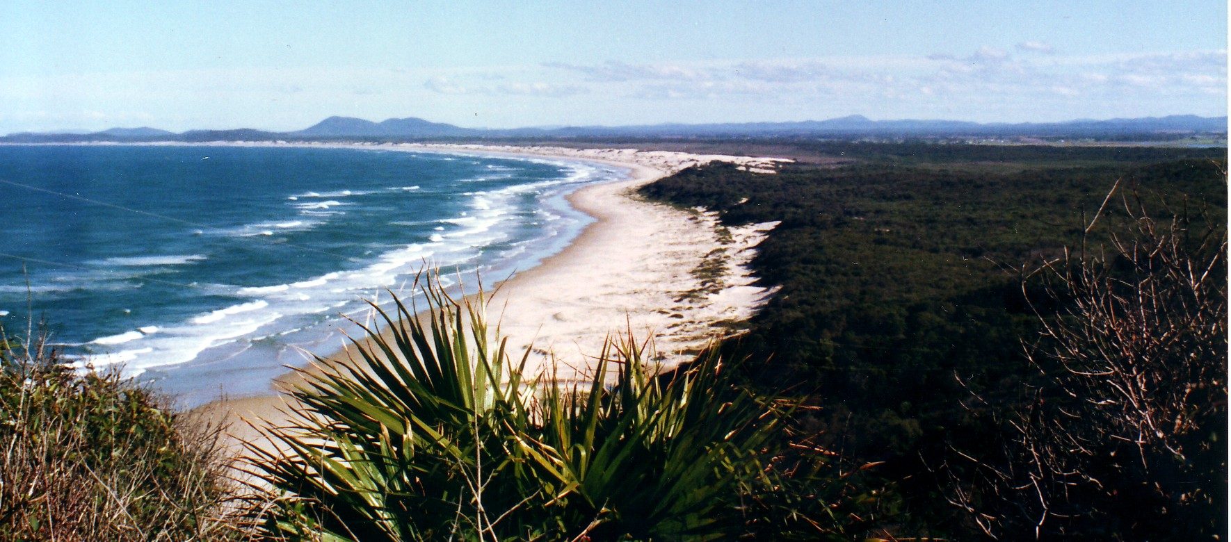 Smoky Cape Campground - Image 2