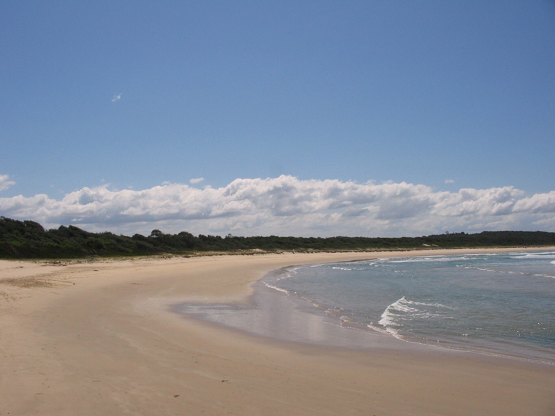 Delicate Nobby Campground — Crescent Head, NSW