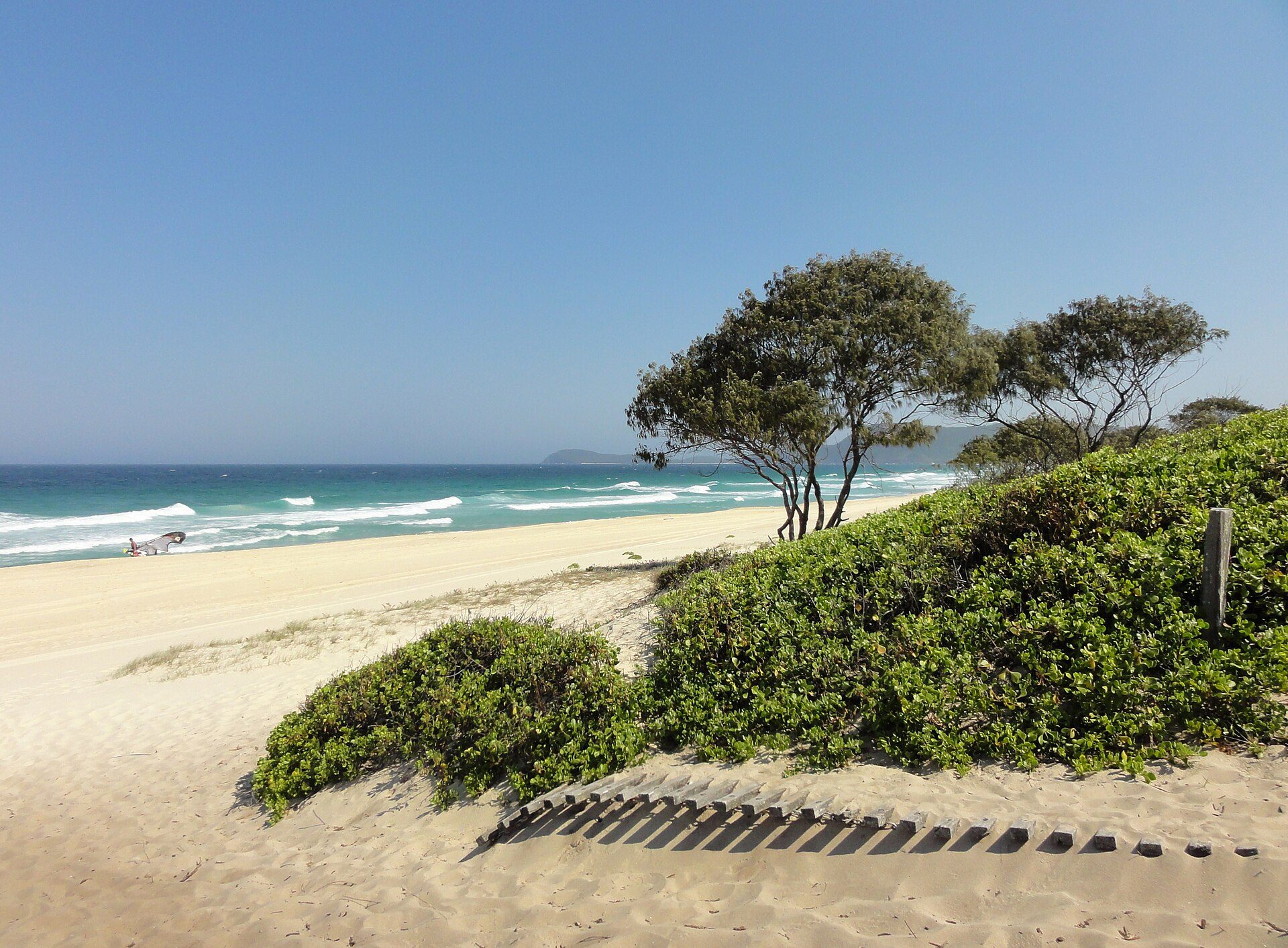 Sailing Club Picnic Area — Forster, NSW