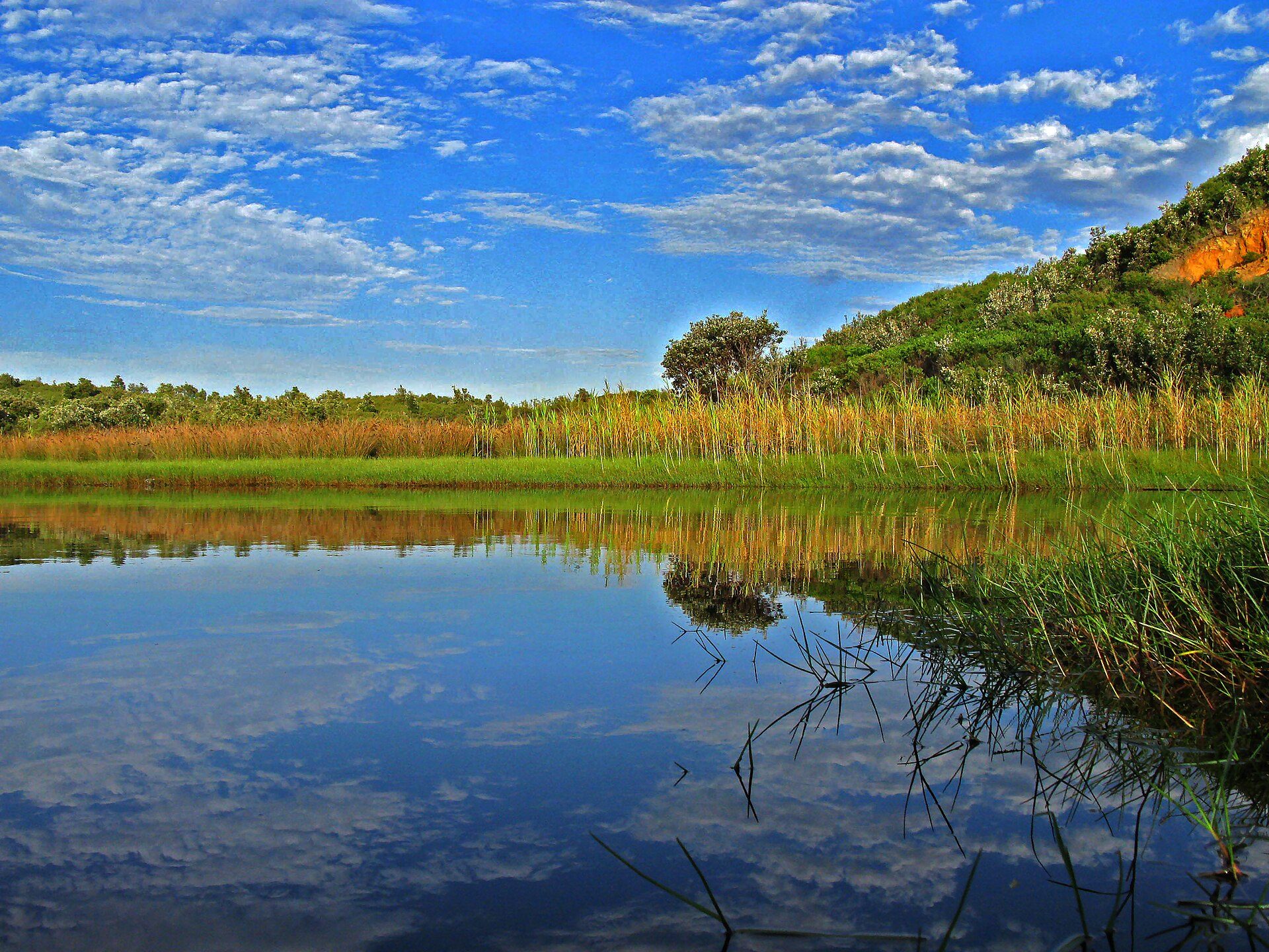 Freemans Campground — Freemans, NSW