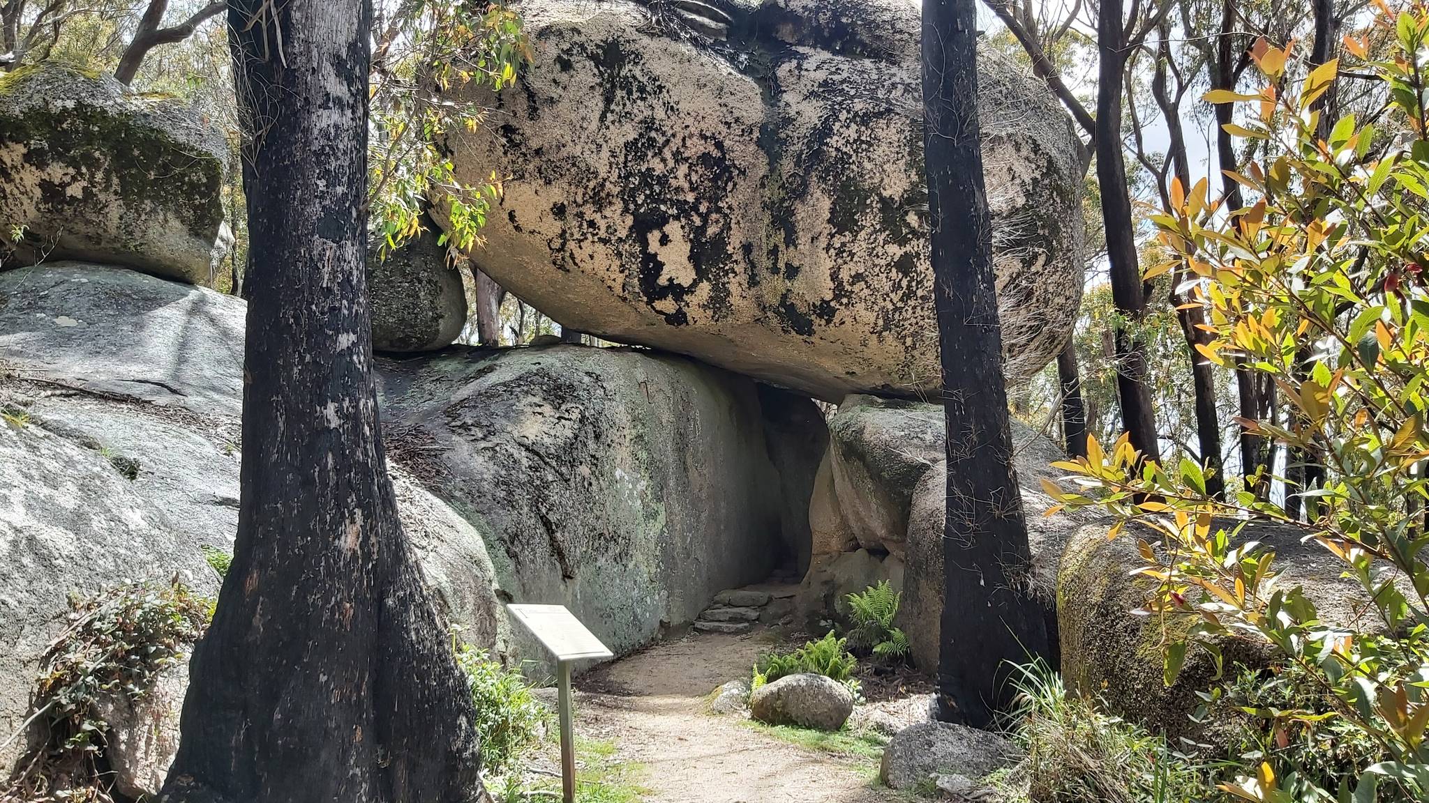 Bald Rock Campground - Image 5