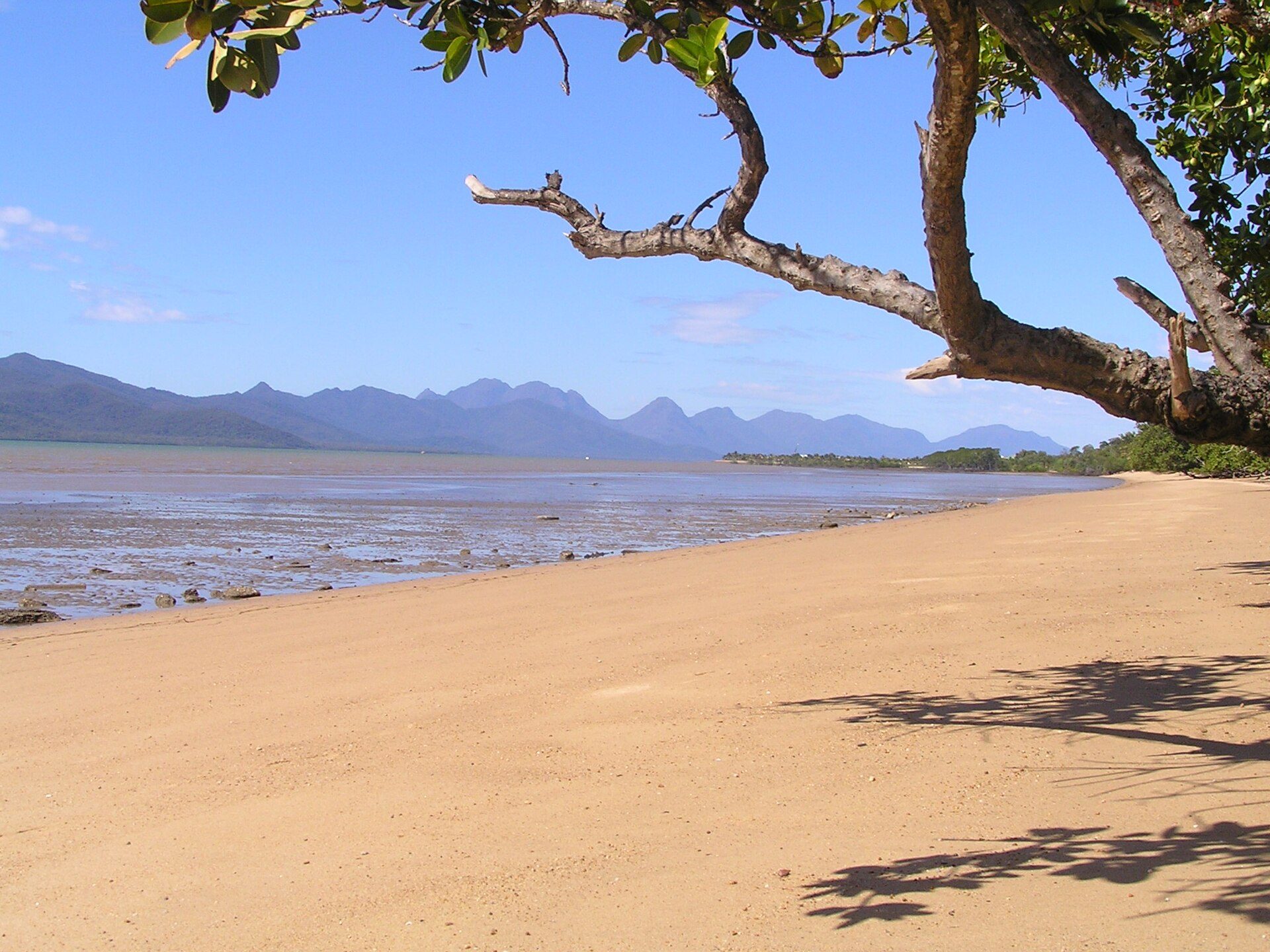 Cardwell Beachcomber Motel and Tourist Park — Cardwell, QLD