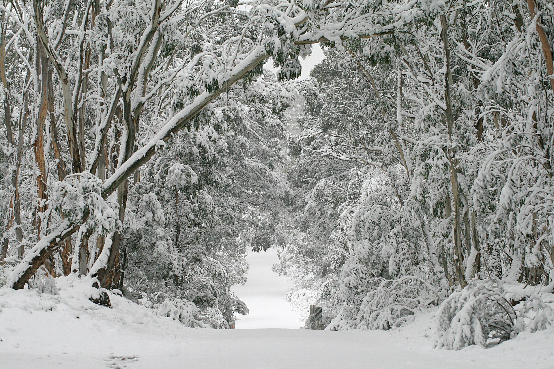 Boyd River Campground — Kanangra, NSW