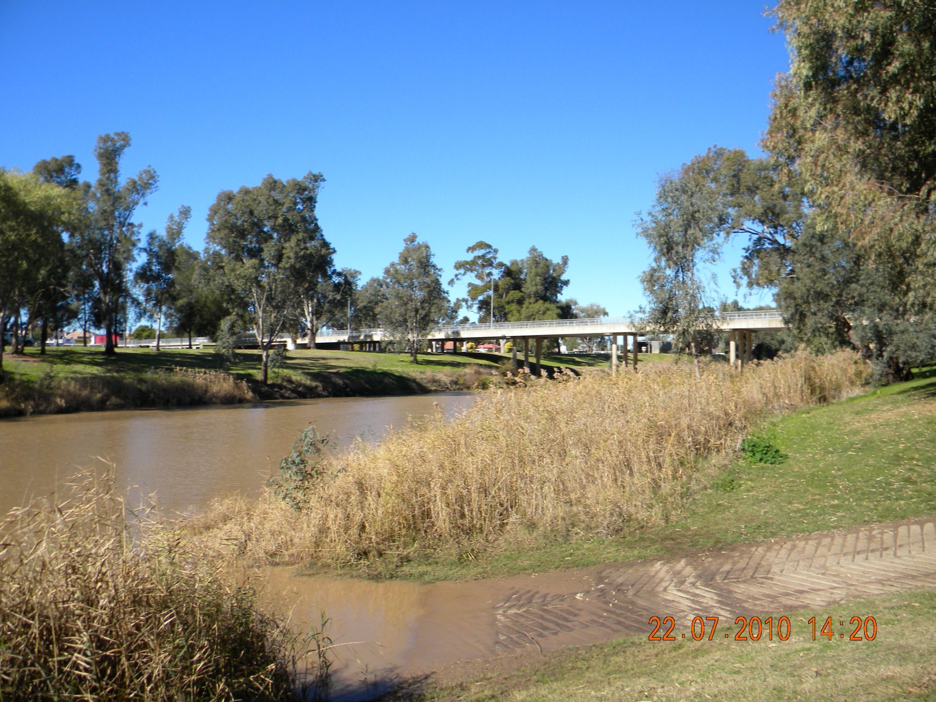 Narrabri Showground Camping Area in Narrabri, NSW — photo 1