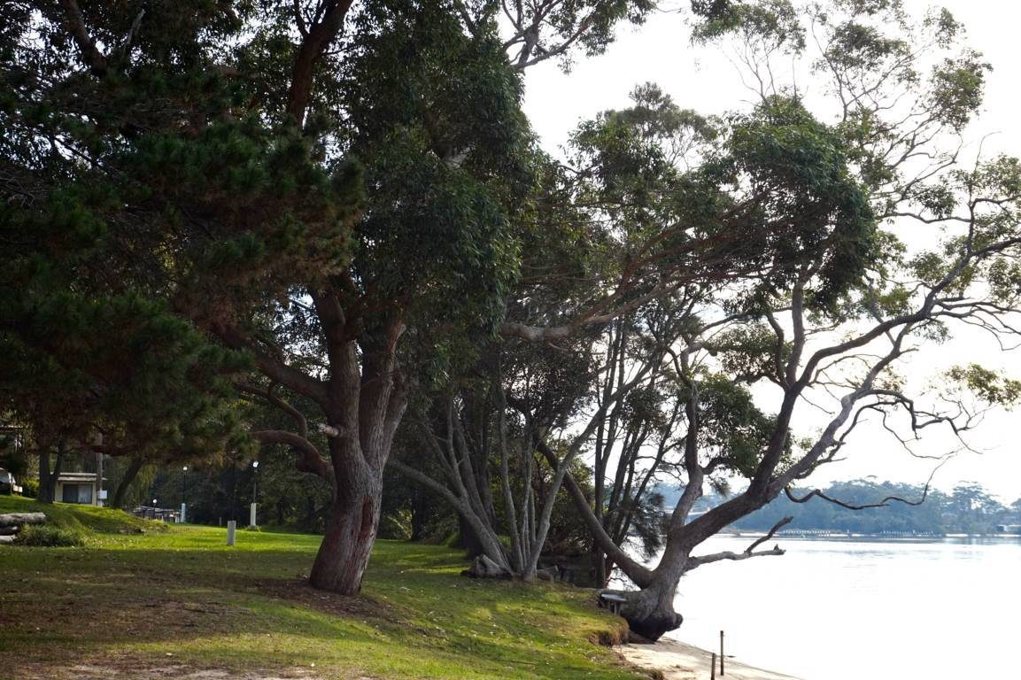 Alamein Caravan Park - Image 5