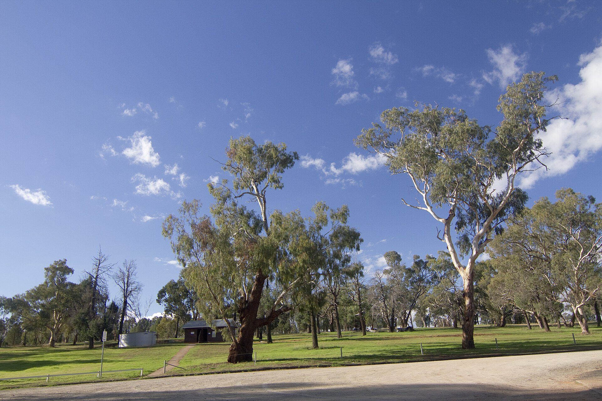Terramungamine Reserve in Terramungamine, NSW — photo 1