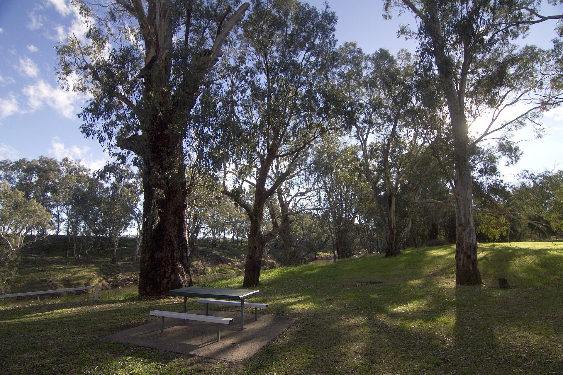 Terramungamine Reserve — Terramungamine, NSW