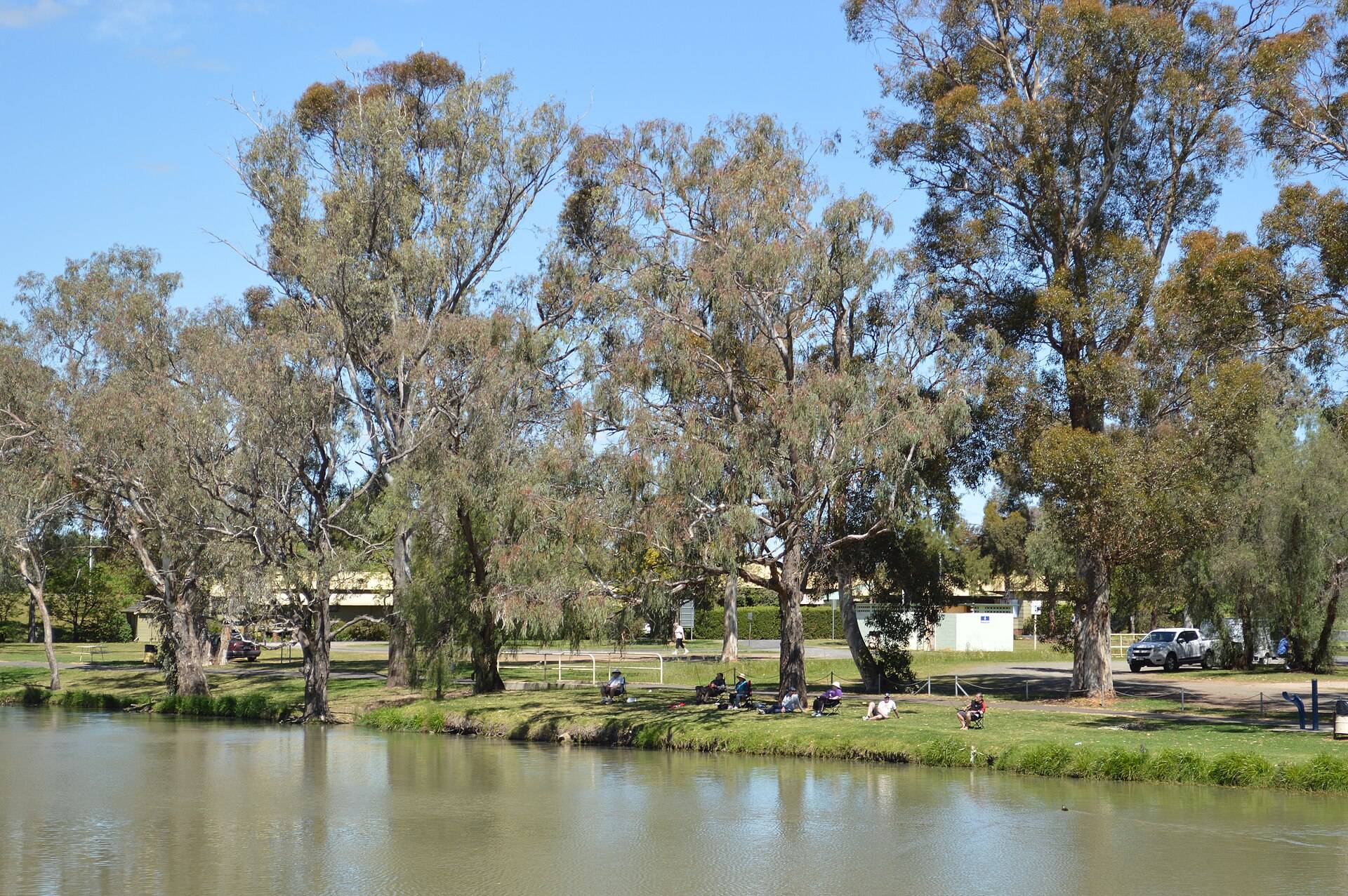 Wheogo Park Forbes Rest Area in Forbes, NSW — photo 2