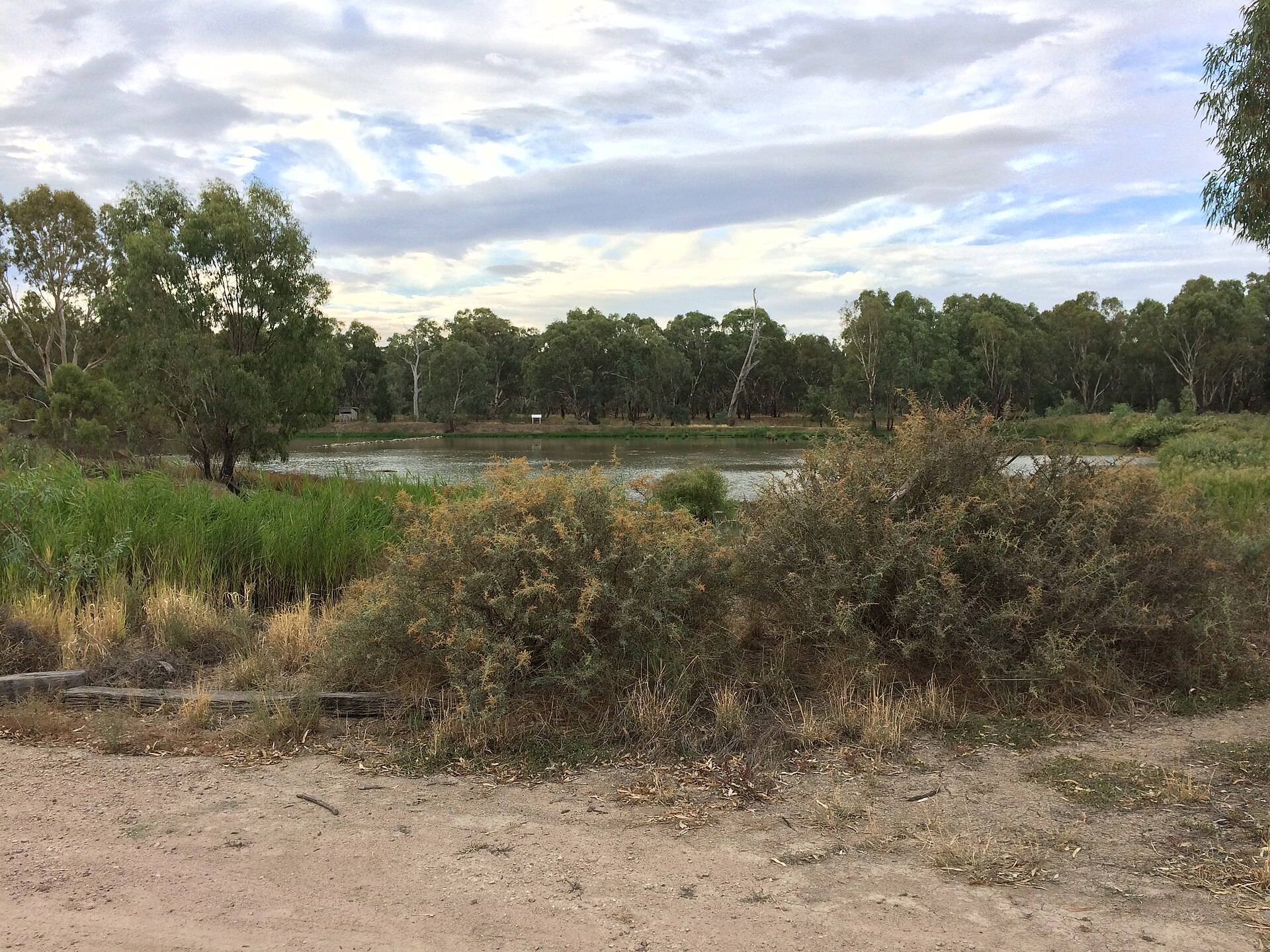 Gillenbah South Rest Area in Gillenbah, NSW — photo 2