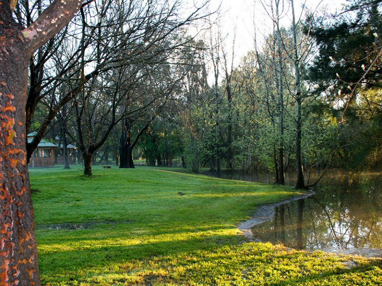Denman Van Village - Image 2