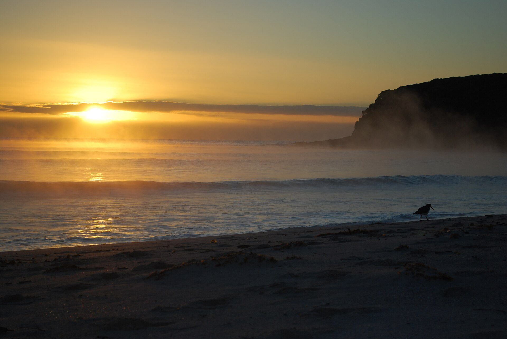 Saltwater Creek Camping Area — Green Cape, NSW