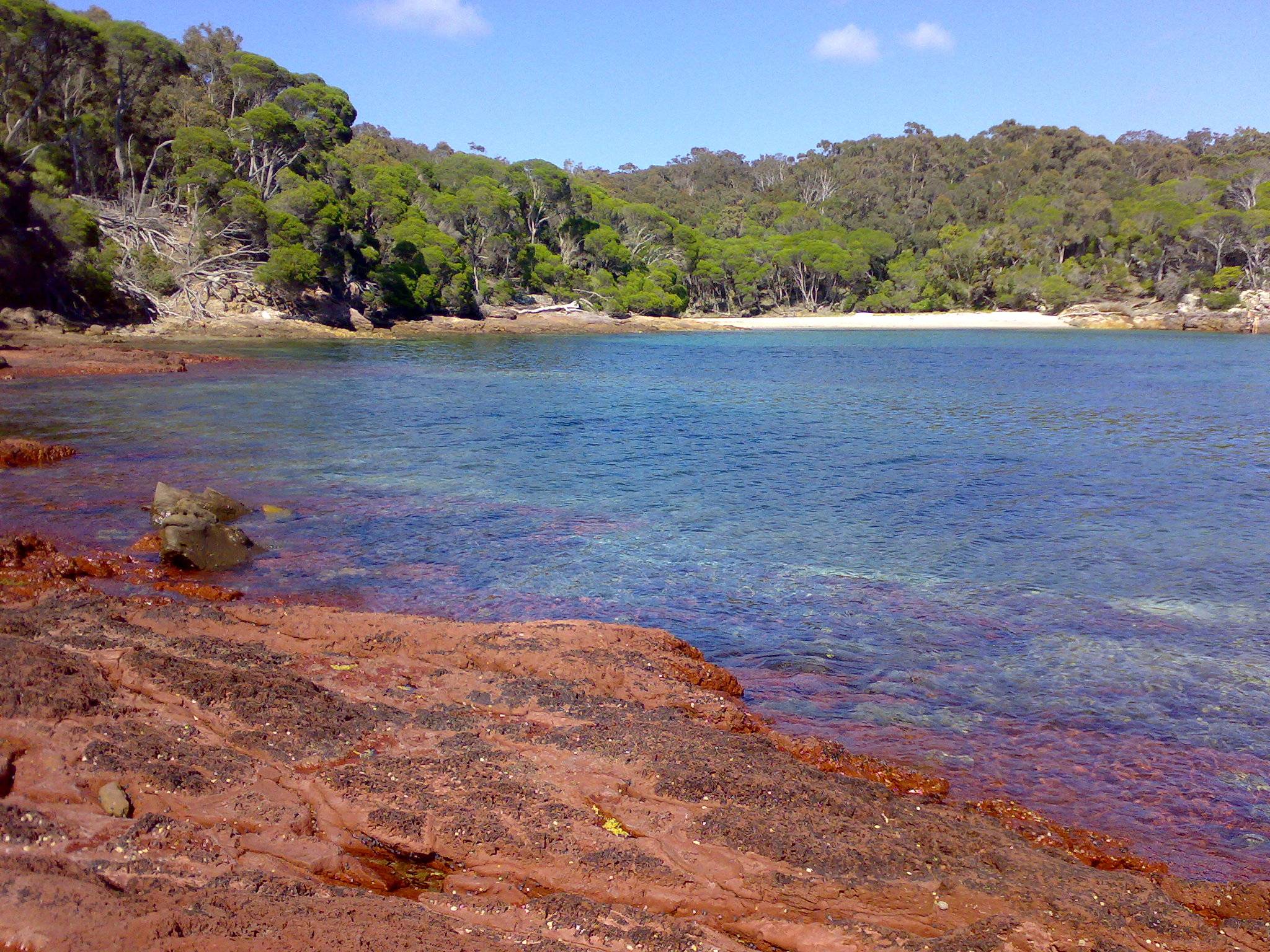 Bittangabee Campground