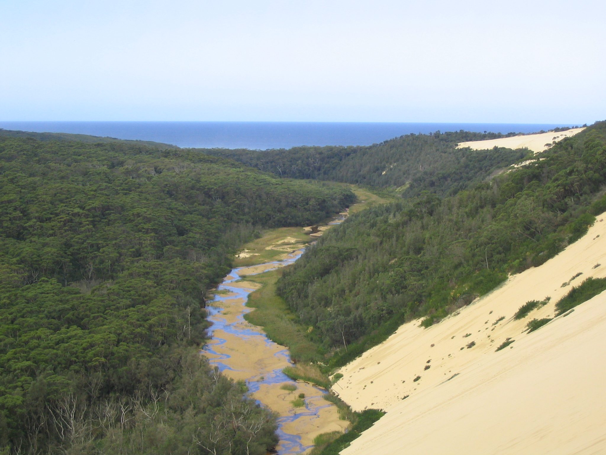Thurra River Campground - Main image
