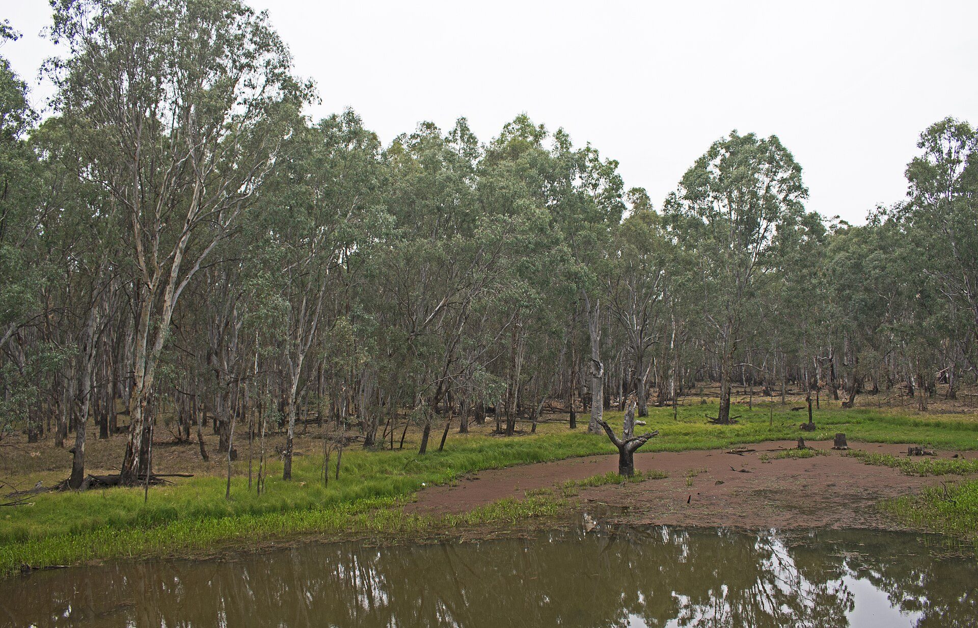 Parolas Bend Camping Area — Esmond, VIC