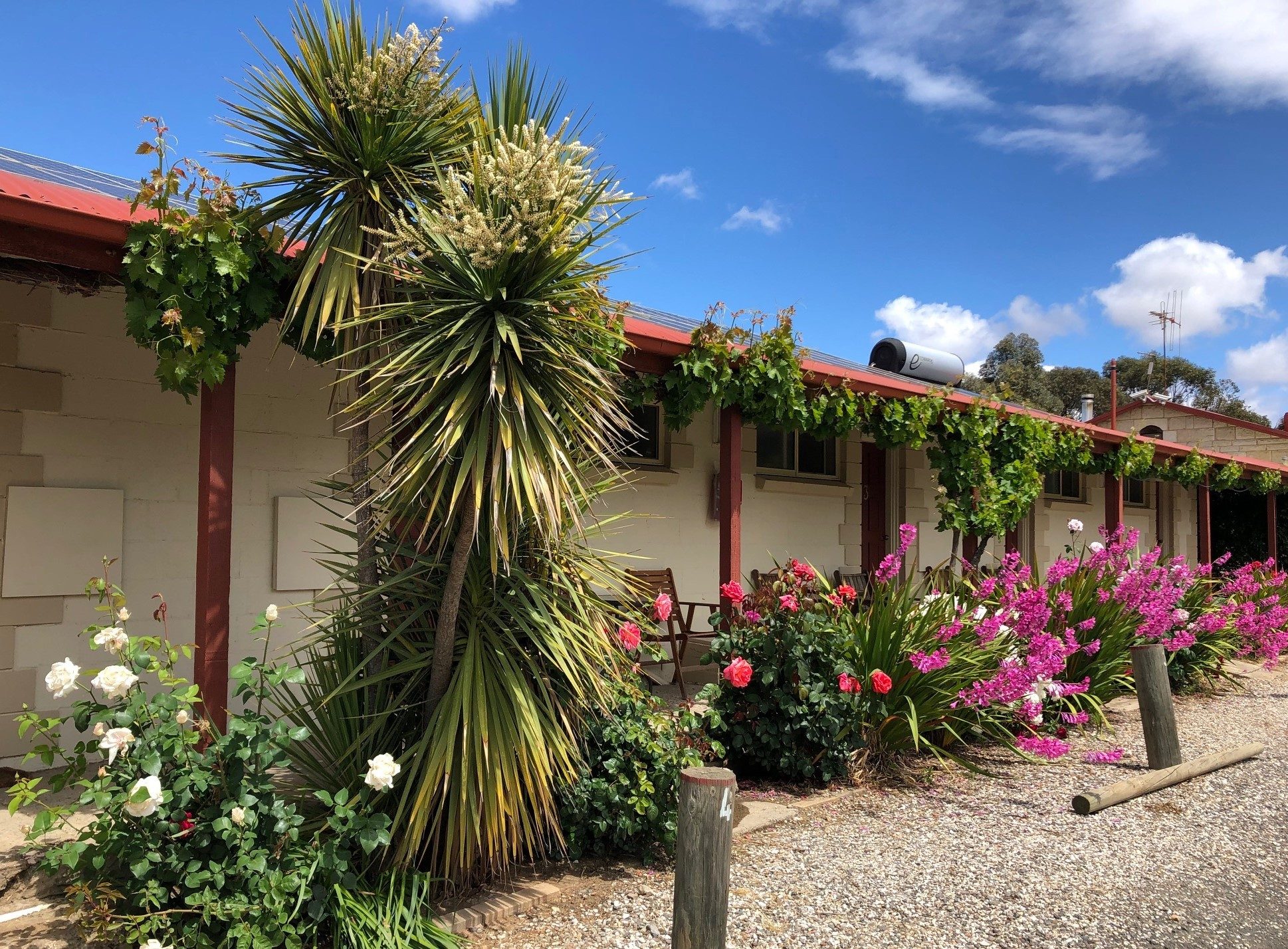 Inglewood Motel and Caravan Park - Image 4