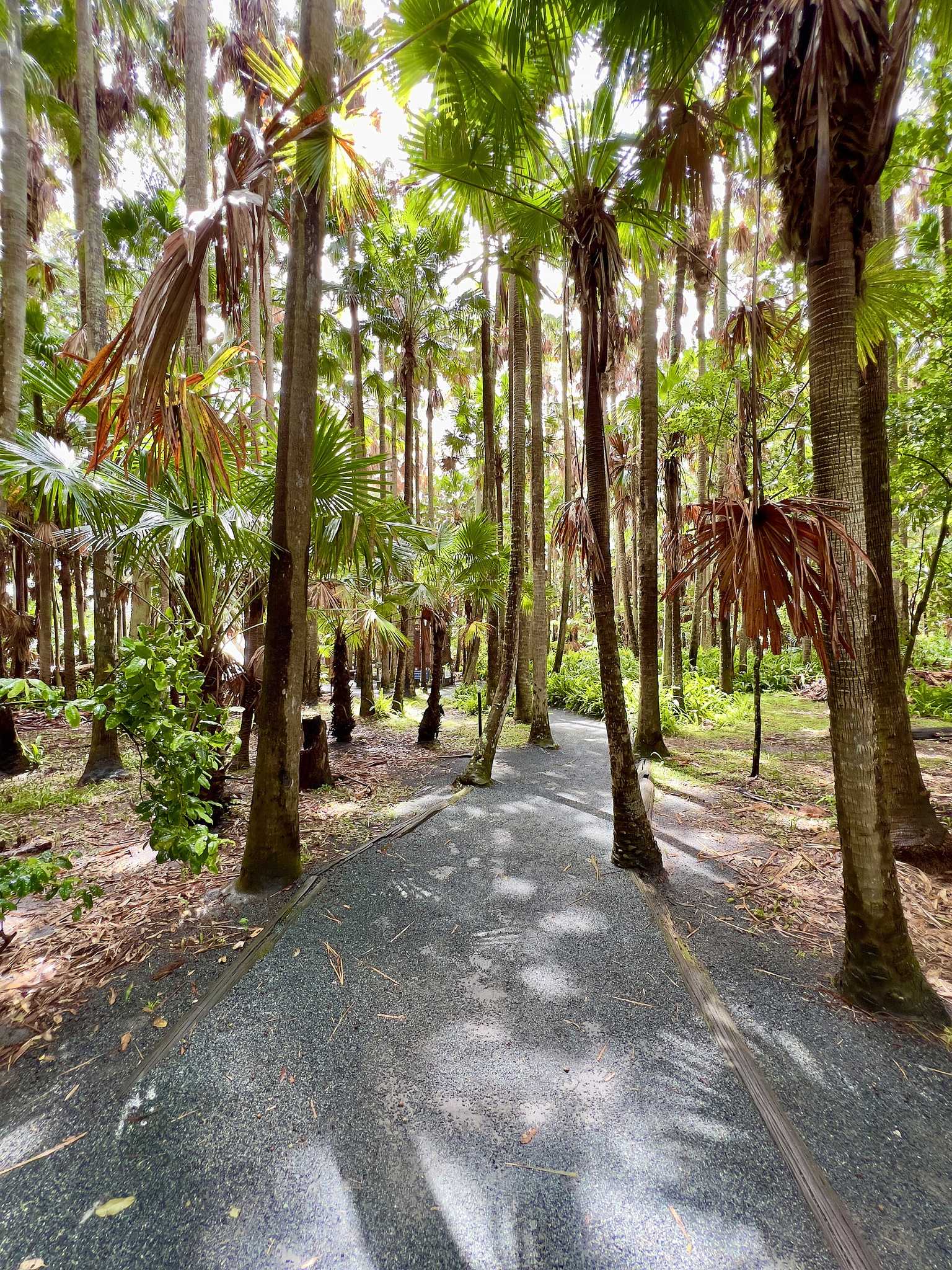 Sundowner Tiona Tourist Park in Tiona, NSW — photo 1
