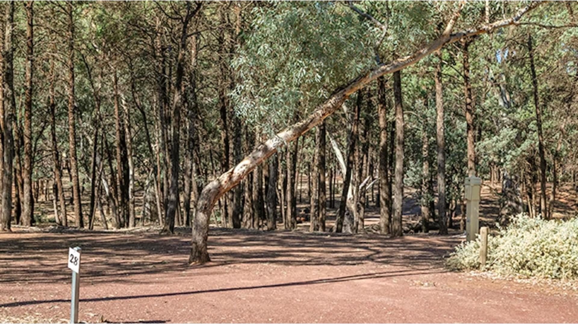 Wilpena Pound in Hawker, SA — photo 2