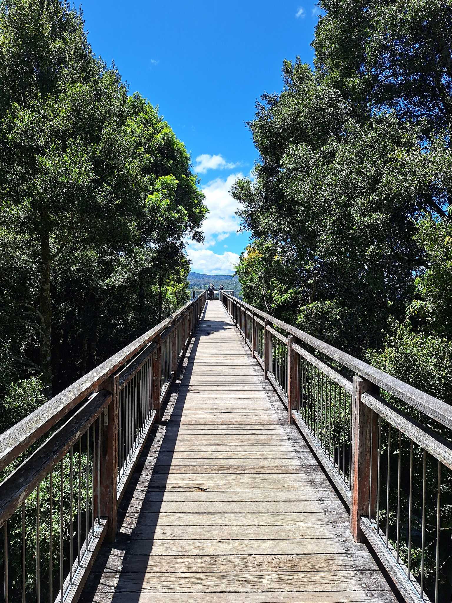 Dorrigo National Park and Rainforest Centre — Dorrigo Mountain, NSW
