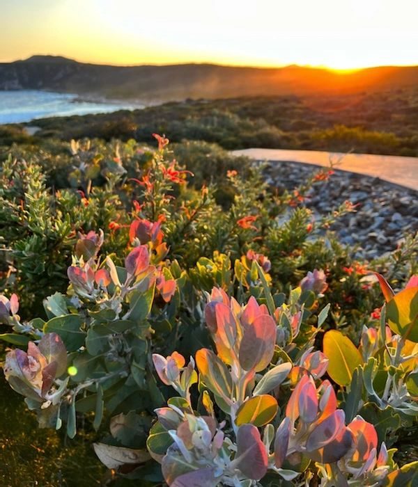 Munglinup Beach Holiday Park and Camping Area - Image 2