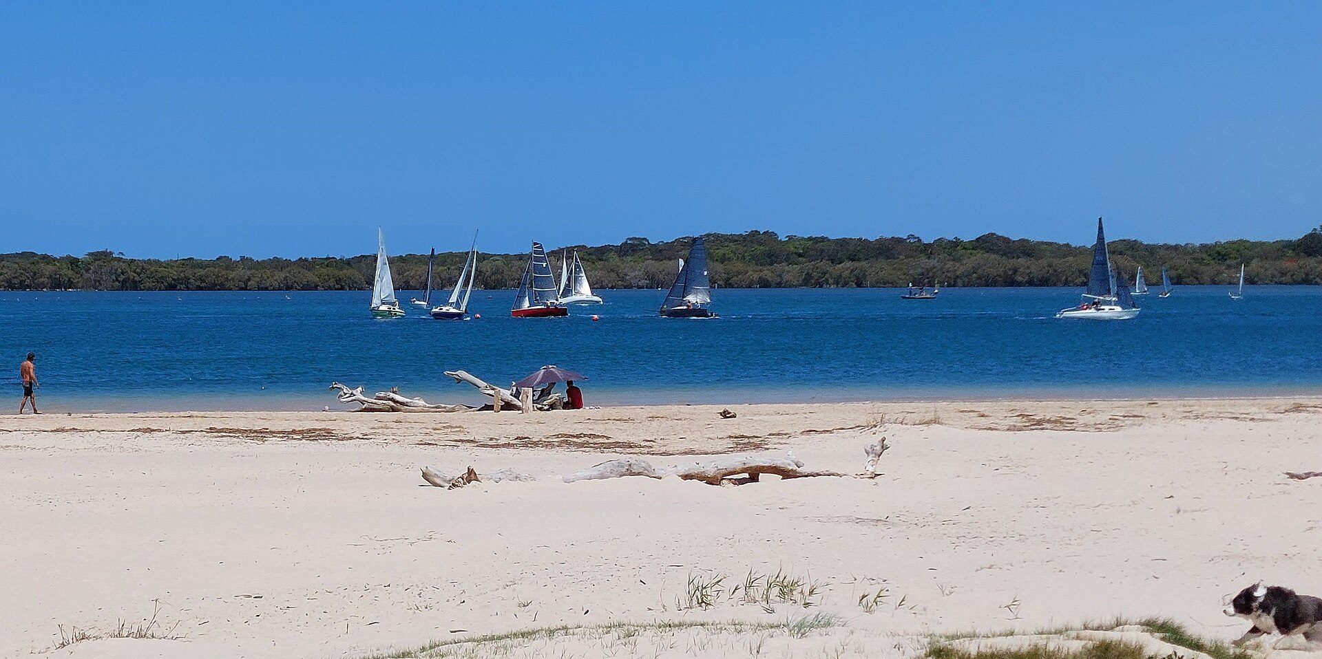Ballina Beach Village and Wilderness Camping Park — South Ballina, NSW