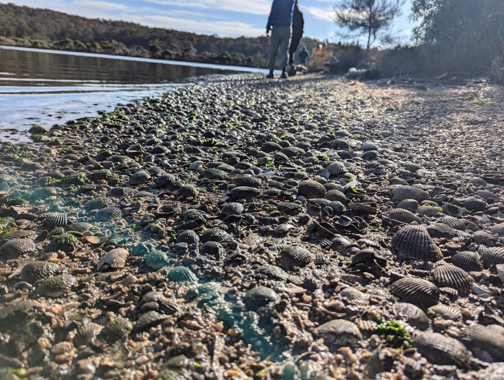 Wallaga Lake Resort in Wallaga Lake, NSW — photo 1