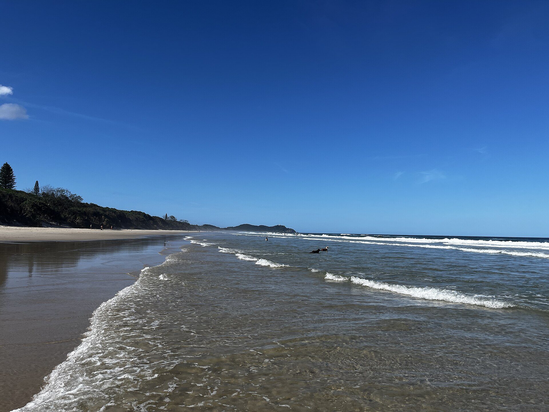Suffolk Beachfront Holiday Park in Suffolk Park, NSW — photo 1