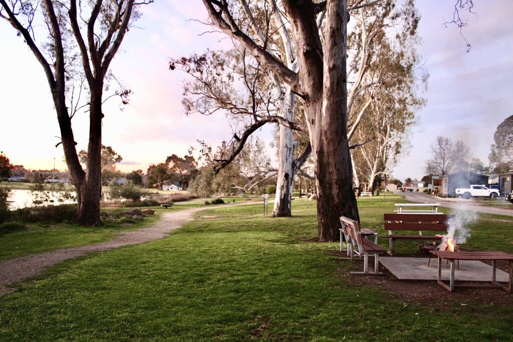 Rutherglen Caravan and Tourist Park - Image 4
