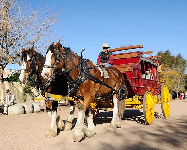 NRMA Echuca Holiday Park - Image 4