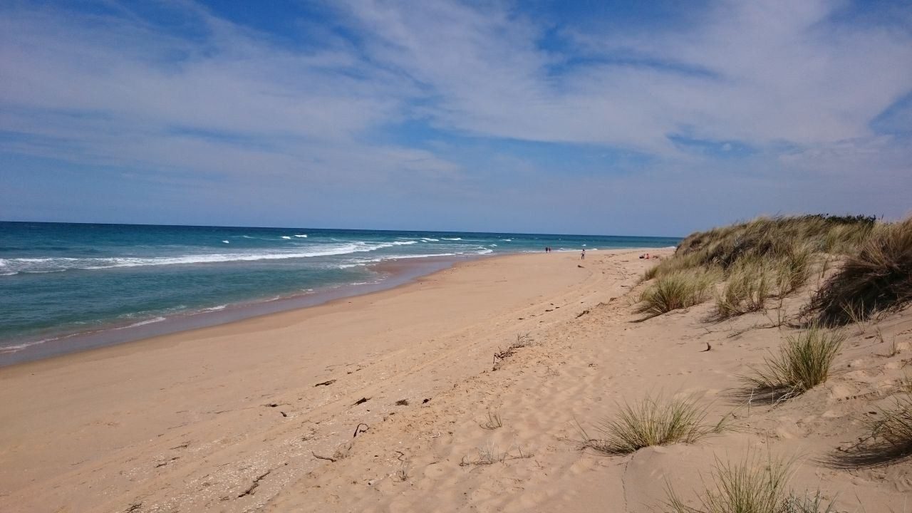Silver Sands Holiday Park in Evans Head, NSW — photo 4