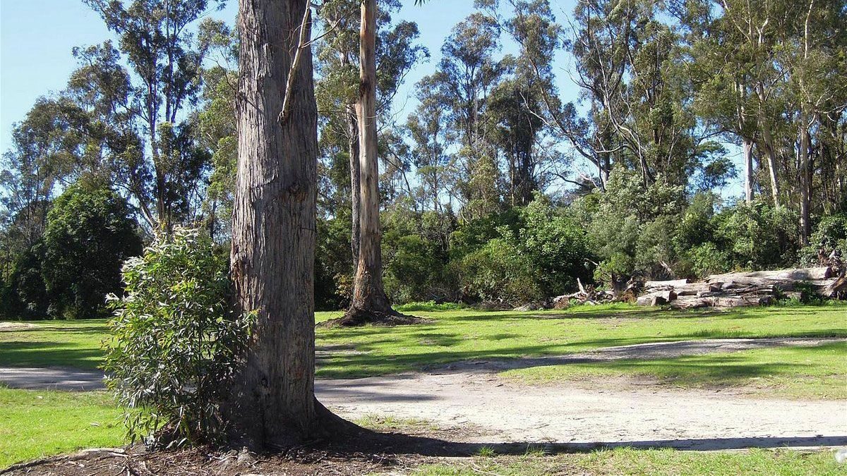 Eden Gateway Holiday Park - Image 3