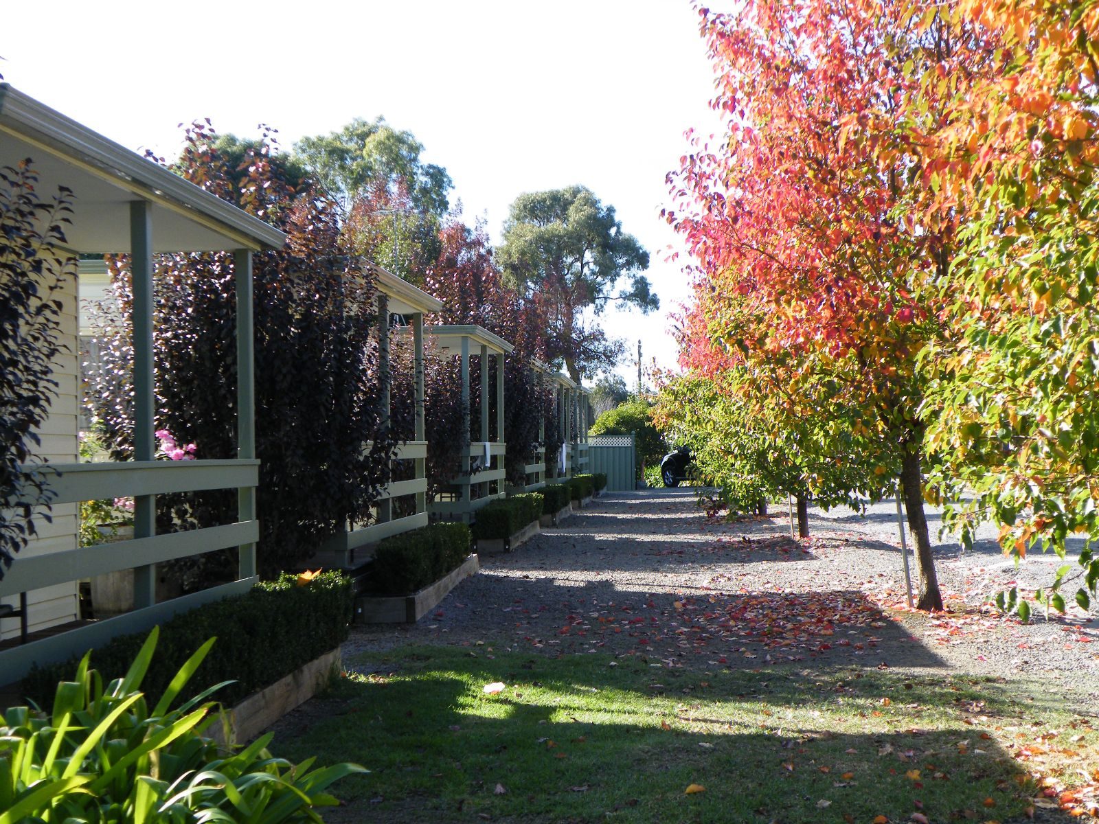 Lake Hamilton Motor Village and Caravan Park - Image 3